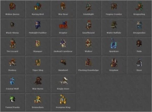 DRUID LV 600 CHARLOVER COM FLYING BOOK (NPVP VERDE) - Tibia