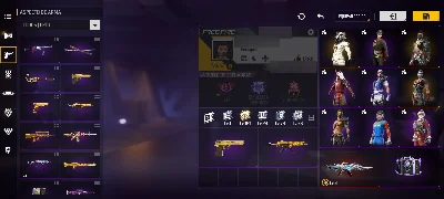 Conta com 6 anos de idade - Free Fire