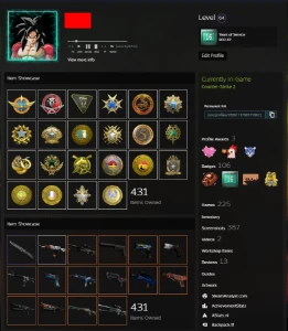 Counter-Strike 25 melhadas +2000 vitórias (Steam MAIN) - Counter Strike CS