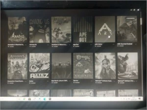 Conta com 110 jogas - Epic Games