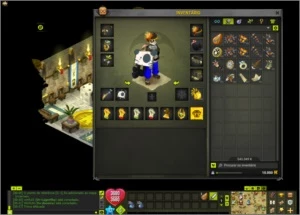 VENDO PANDA NIVEL 200 EQUIPADO - Dofus