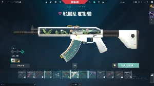 Conta Valorant Full Acesso! Com Bastante Skins