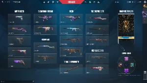 Conta Valorant Full Acesso! Com Bastante Skins