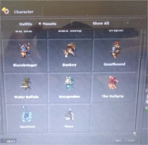 TIBIA ROYAL PALADIN 349 + ED140+ ED100+ MS 107 QUELIBRA