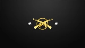 CONTA CS:GO AK-X 11 wins - Counter Strike