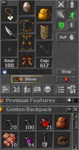 EK LV 60 NON PVP ---- SEM REGISTRO---- - Tibia