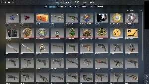 Conta Cs2 Lvl20 Gc , Main Varias Medalhas E Jogos ! - Counter Strike