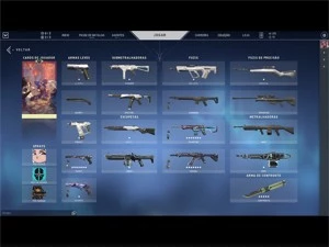 Conta Valorant com Vandal Saqueadora e Vagalume RGX