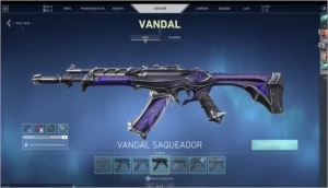 Conta valorant
