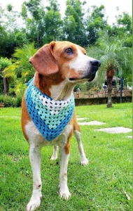 Bandana Pet em Crochê