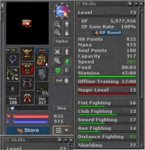 Palladin 73 - Tibia