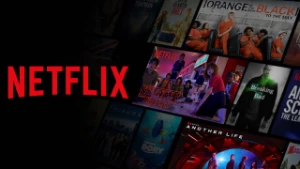 Netflix Perfil/Tela Mensal