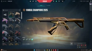 Conta valorant 1k gasto