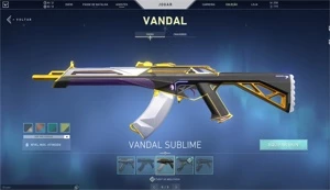 Conta Ex-imortal Com Vandal Champions e diversas Skins! - Valorant