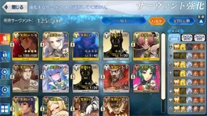 Conta Fate/Go JP - 15 SSR ( 2 SSR com NP5 ) - Fate Grand Order