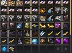 GUERREITO 640 GS COM EMAIL BDO SA - Black Desert