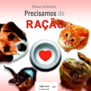Me ajuda na ração dos bichanos! - Doações
