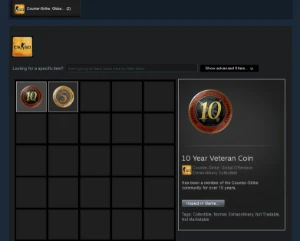 Conta Steam 19 Anos (12 Setembro De 2003) Medalhas 5 E 10 - Counter Strike CS
