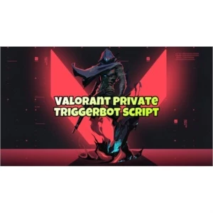 [Exclusivo] Valorant Triggerbot 100% Seguro -