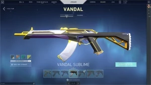 skins:3 vandal,2 phanton,5 passes, level 265, gold 2 - Valorant