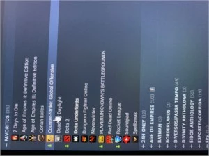 Conta Steam Level 125 Com Mais De 300 Jogos