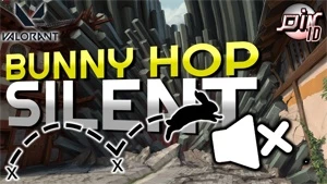 Bunny Hoppy Valorant/Cs Go