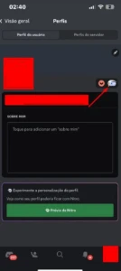 Conta Discord com Badge PIG (ÚNICO DONO!) + E-mail - Redes Sociais