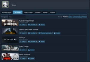 CS:GO Prime Aguia 1 2 anos steam