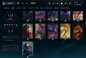 Unranked com TODOS os Champs e 113 Skins ( ADC / SUP ) - League of Legends LOL