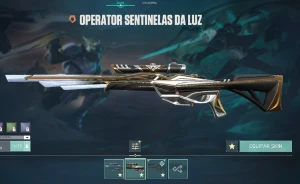 Conta De Valorant Com Pacote Champions 2022 E Muito Mais!