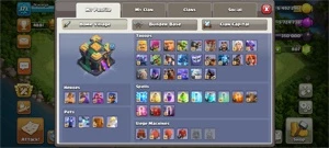 Conta clash of clans CV 14