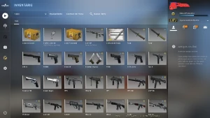 Conta Csgo Aguia 2 (Com Prime - Sem Banimentos) - Counter Strike