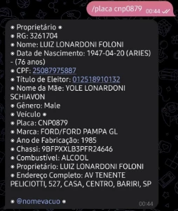 Acesso Bot Telegram de consultas - Serviços Digitais