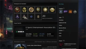 Vendo conta CSGO SUPREMO LEVEL 18 GC com Medalhas Raras - Counter Strike