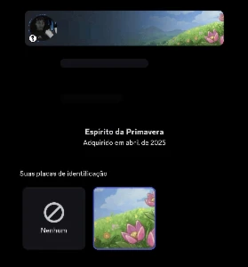 Conta Discord Nitrada / 2019 - Redes Sociais