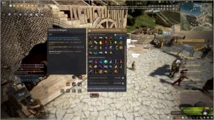 V>Conta BlackDesertSA Full Pen+Pérolas+Skins+PacoteEconômico - Black Desert