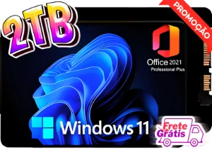 SSD 2TB Para Computador Ou Notebook + Windows 11 e Office - Softwares e Licenças