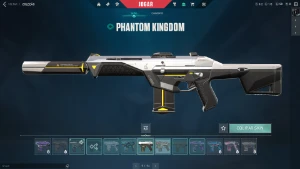 Conta Valorant Beta | Top Facas & Skins | Full Acesso