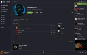 Script Clone Spotify - Plataforma Online - Outros