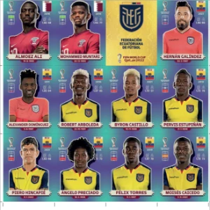 Arquivo em PDF das Figurinhas Da Copa 2022 - Outros