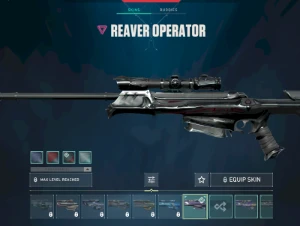 Conta Valorant +800 gastos