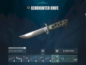 Conta Valorant +800 gastos