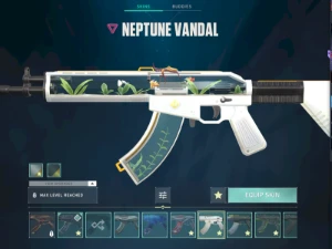 Conta Valorant +800 gastos