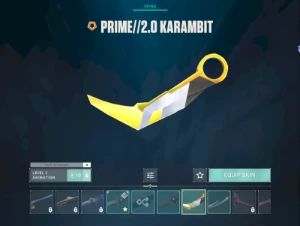 Conta Valorant +800 gastos