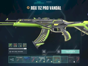 Conta Valorant +800 gastos