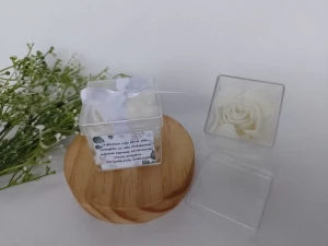 Pétalas De Sabonete - Artesanato e Personalizados