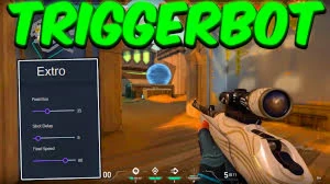 Tiggerbot Valorant o mais barato do site entraga automatica