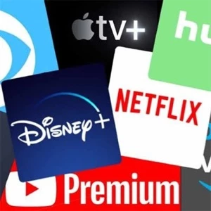 drop contas ( disney, valorant, lol ) - Assinaturas e Premium