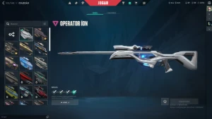 conta de valorant R$2500 gastos