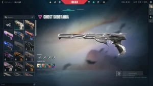 conta de valorant R$2500 gastos